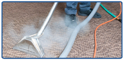 Carpet Stain Removal